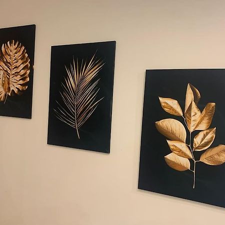 אמיינס Spa Des Hortillons מראה חיצוני תמונה